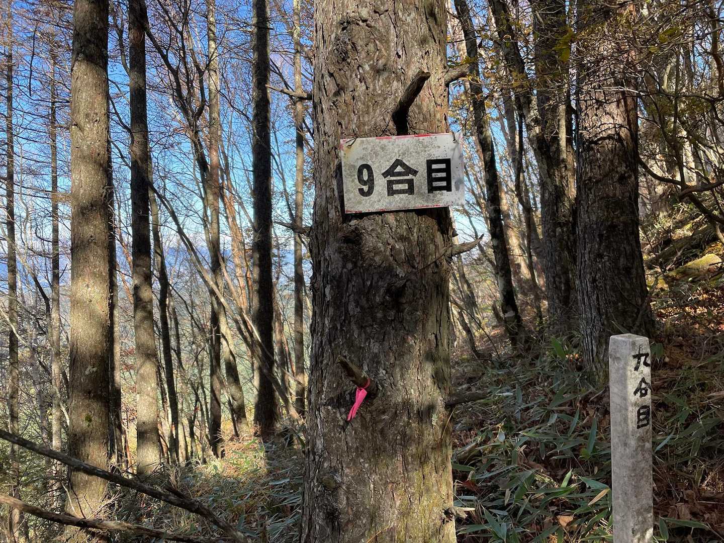 戸倉山 | 北アルプスや日本海を一望。初心者・家族連れも登りやすい日帰りハイクの写真