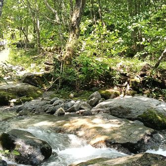 爽やかな川を渡渉し