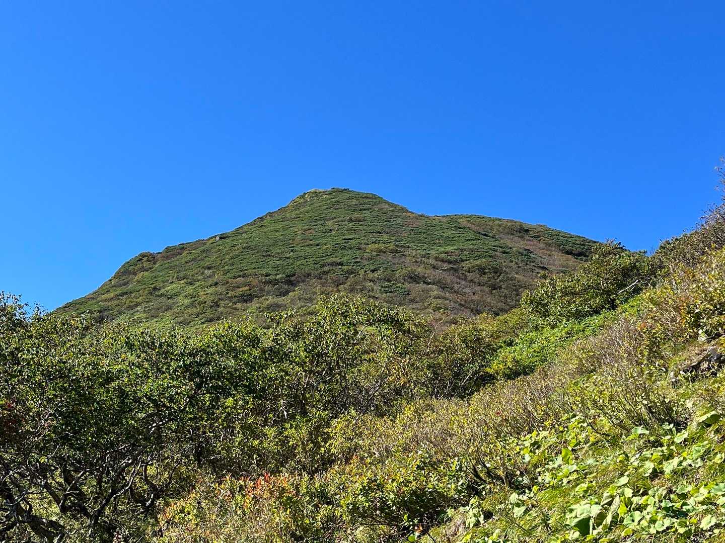 見えて来たよ夕張岳
右側から巻きます
この先は背丈よりも
高い笹藪、ピンテ
あるので迷わないけど
中々エゴイルート❕