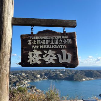 下田から見た山の形、らしい