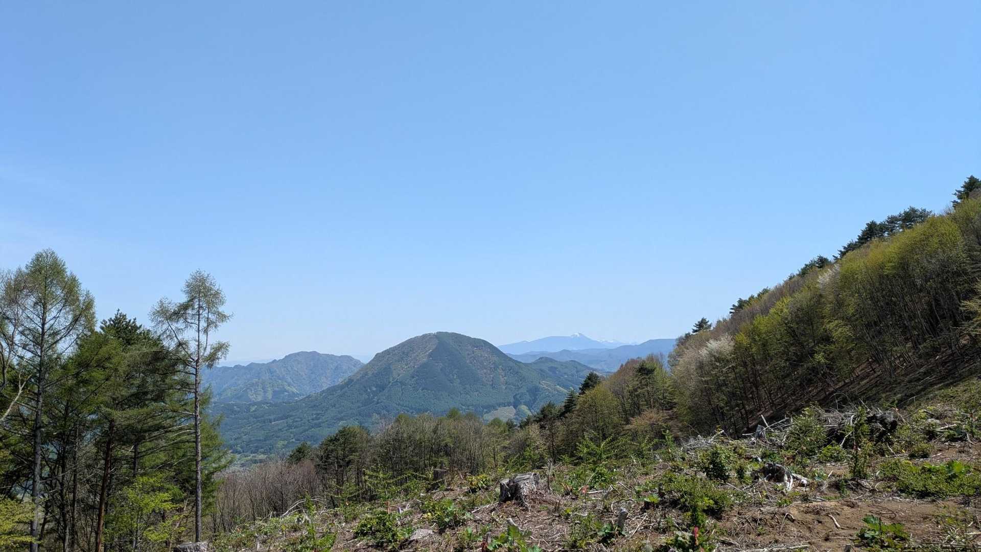 さっき登った夫神岳