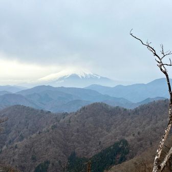 大室山・畦ヶ丸・菰釣山 迫力にビックリするだろうね！