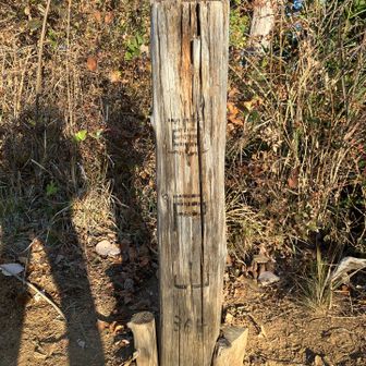 まずは1サミッツ☝️