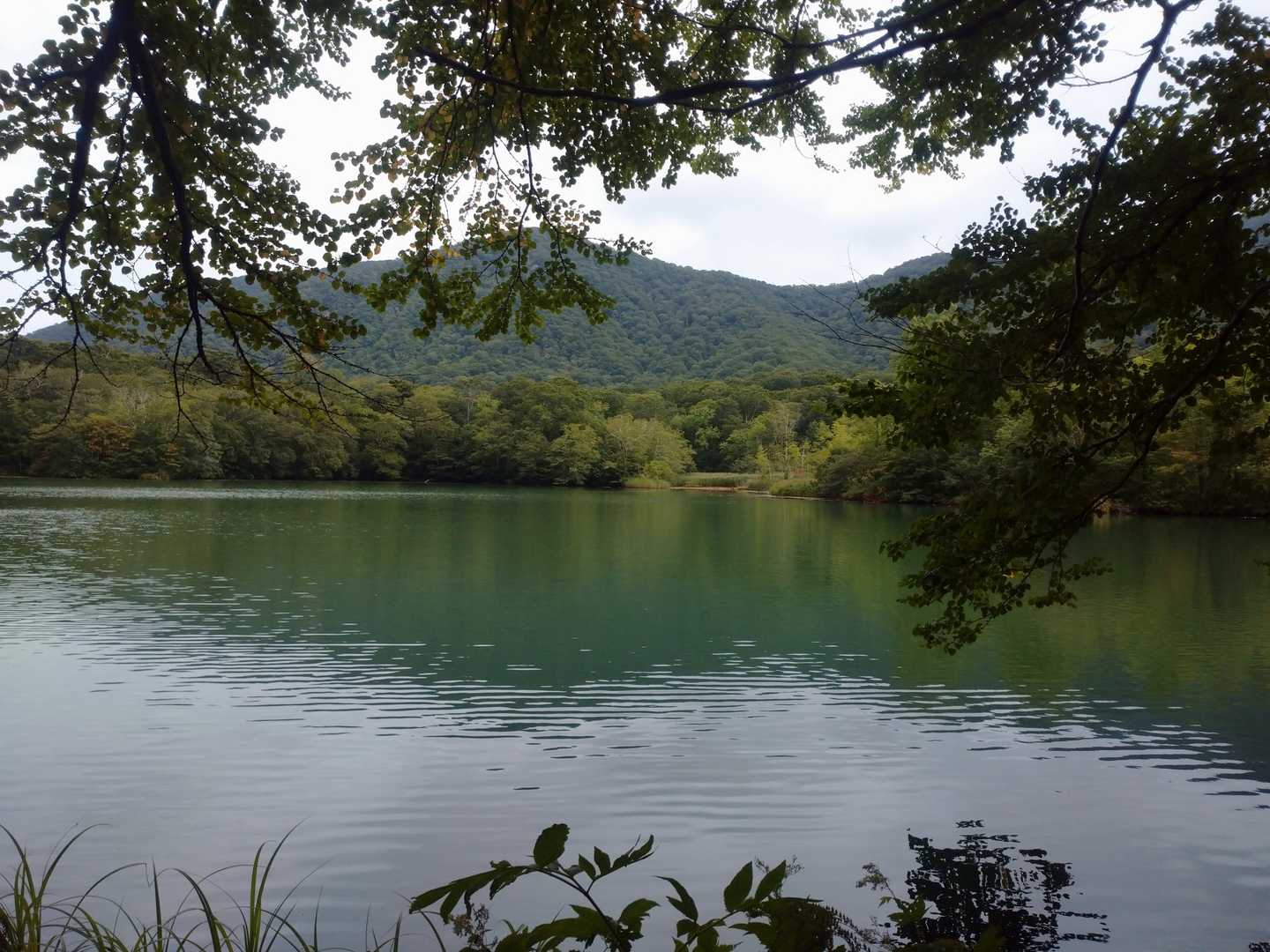 烏帽子岳登山口-烏帽子岳-平ヶ倉登山口 縦走コースの写真
