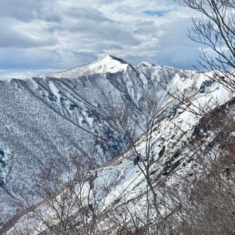 仙ノ倉の向こうに平標山✨
前日、地図を見ながら、西黒尾根を登り、平標山まで縦走したら面白そうだなぁと妄想していました❗️この稜線だね❗️
