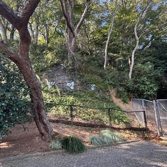 世継山はフェンスに囲まれて山頂までは行けず。

世継山も六甲全山縦走中に寄り道で取れないか迷ったお山ですが、摩耶山に向かう稲妻坂、天狗坂を前に往復30分程度と言えどの私の体力では寄り道しなくて良かったなぁと回想🤔
