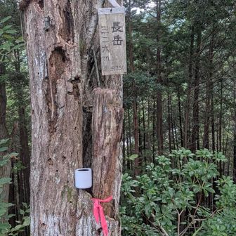 疲れすぎて鬼の形相で撮ってたと思う