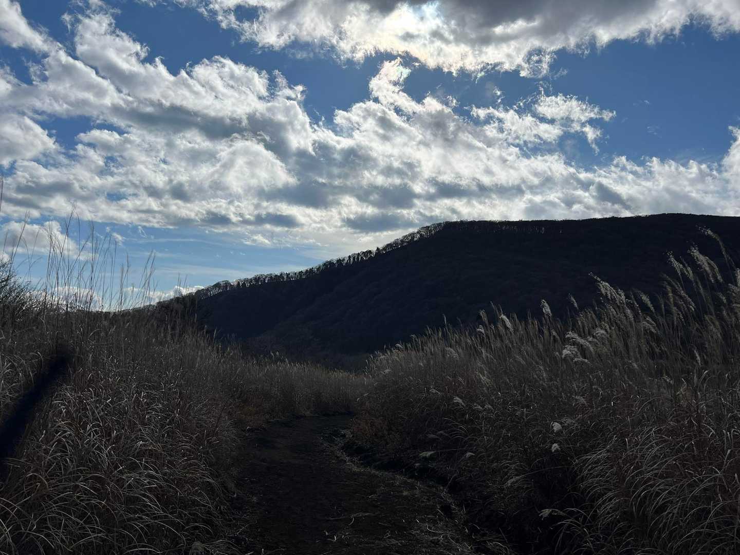 振り返って三国山⛰️