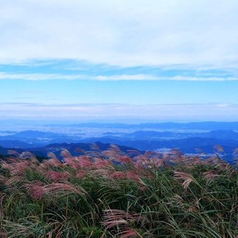 ナイスビューです
和歌山市、海南市方面