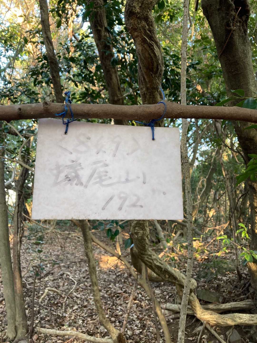 山頂です😄眺望はありません。