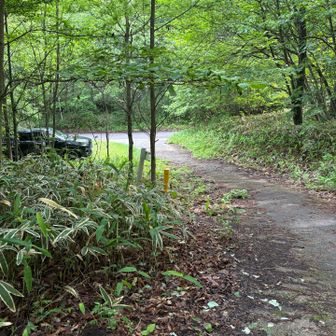 峠にゴール🏁

続いて岩櫃山へ🪨
