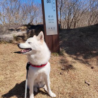 こっち向いてよー😅