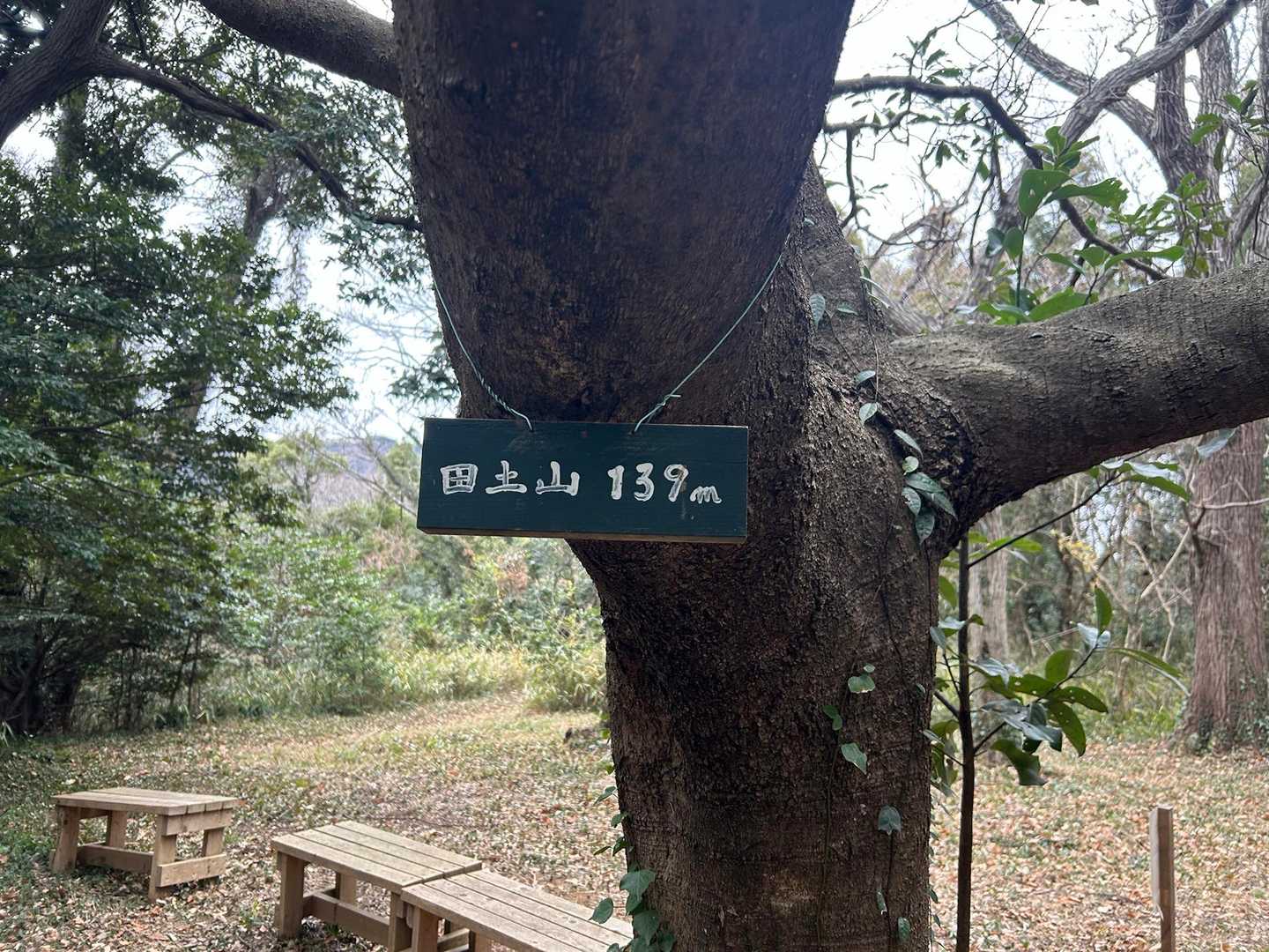 田土山到着✨
