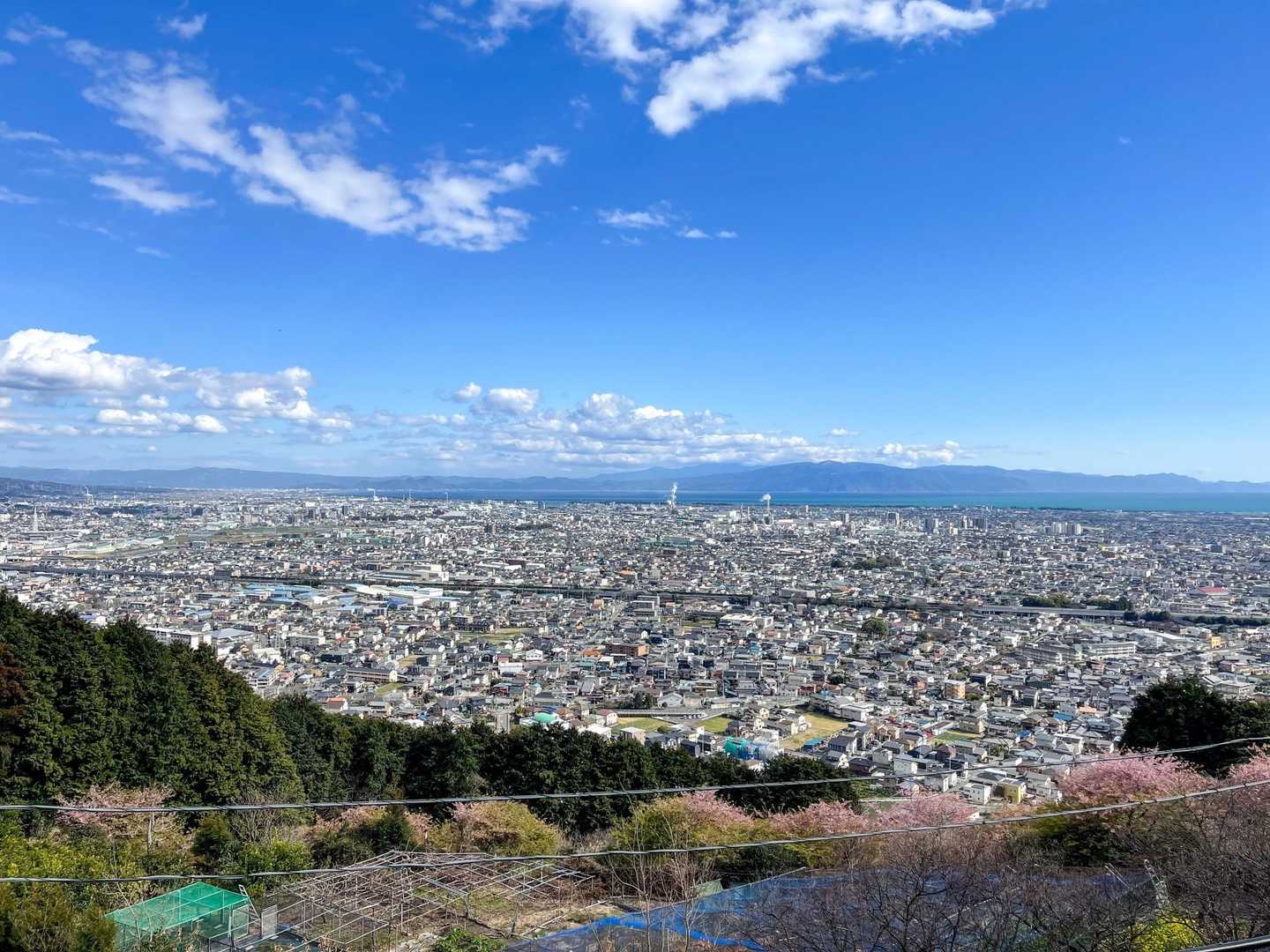 カフェ隣接の展望台より