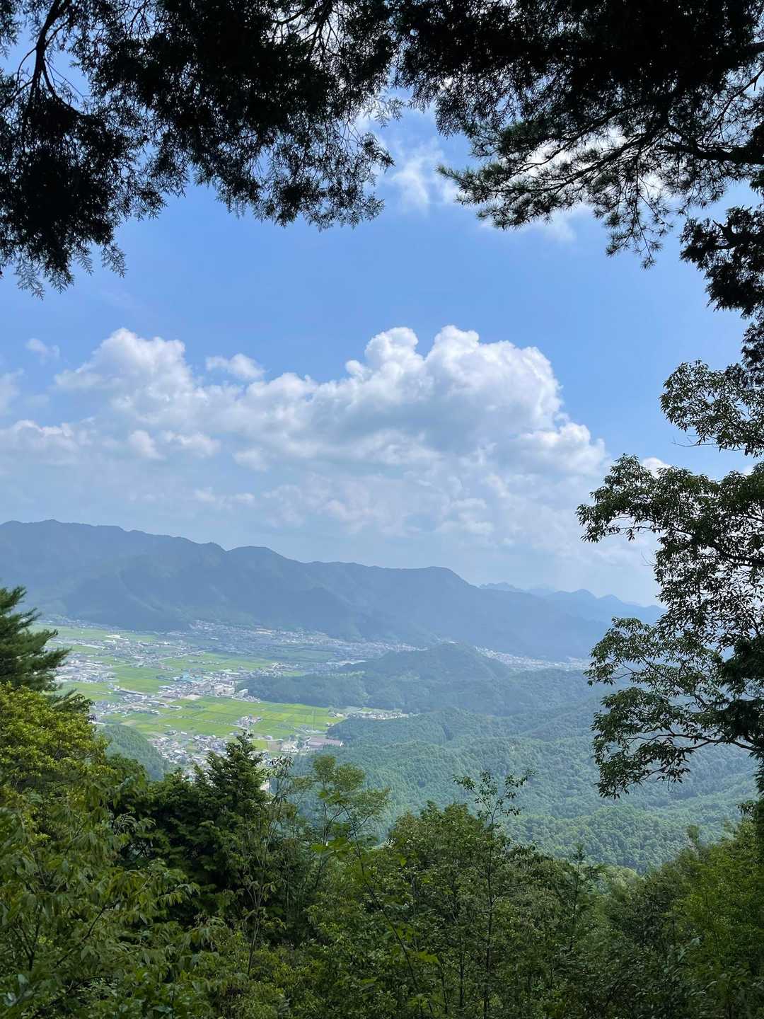 綺麗だなあー、、