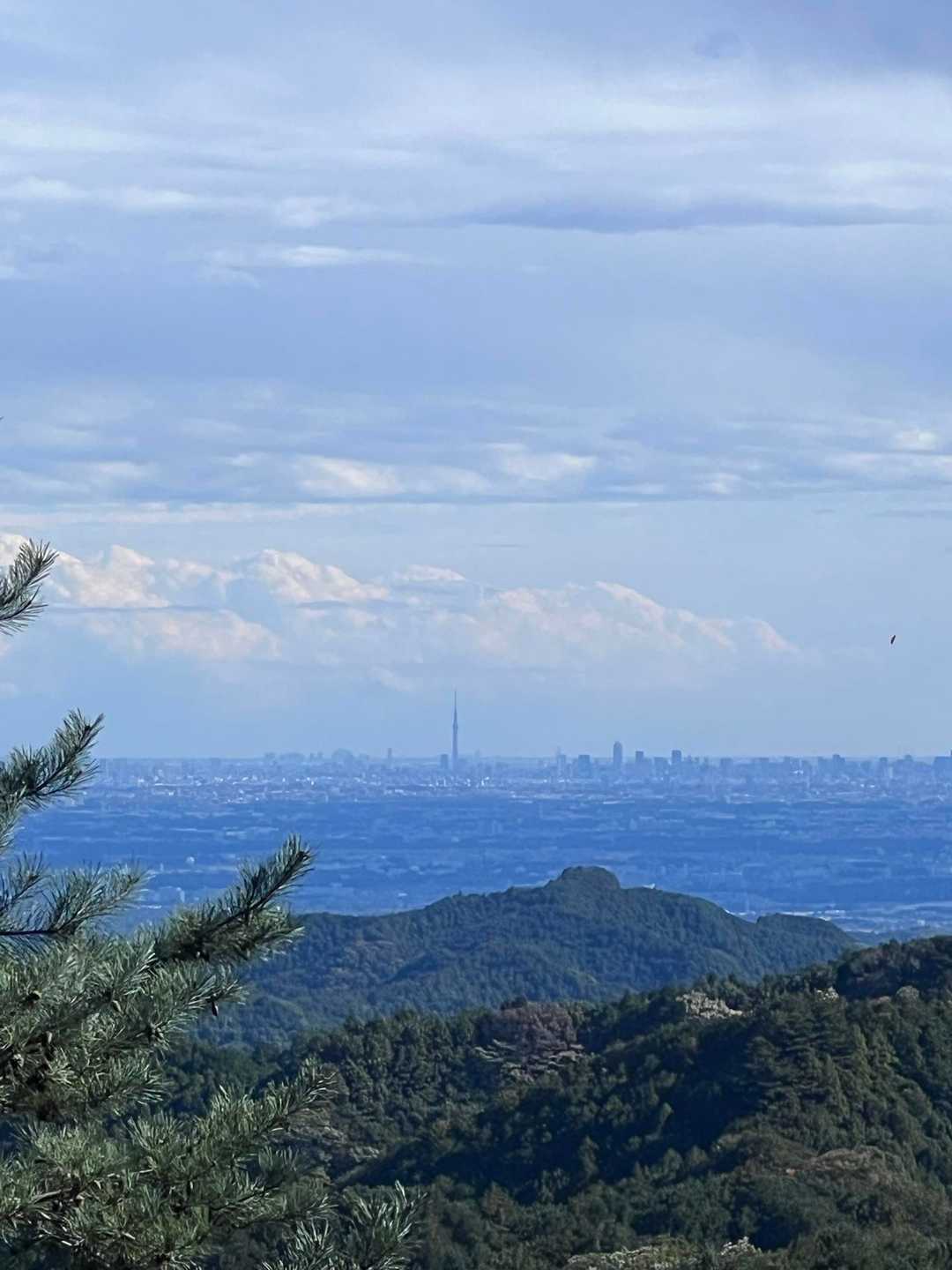 愛宕山 往復コースの写真
