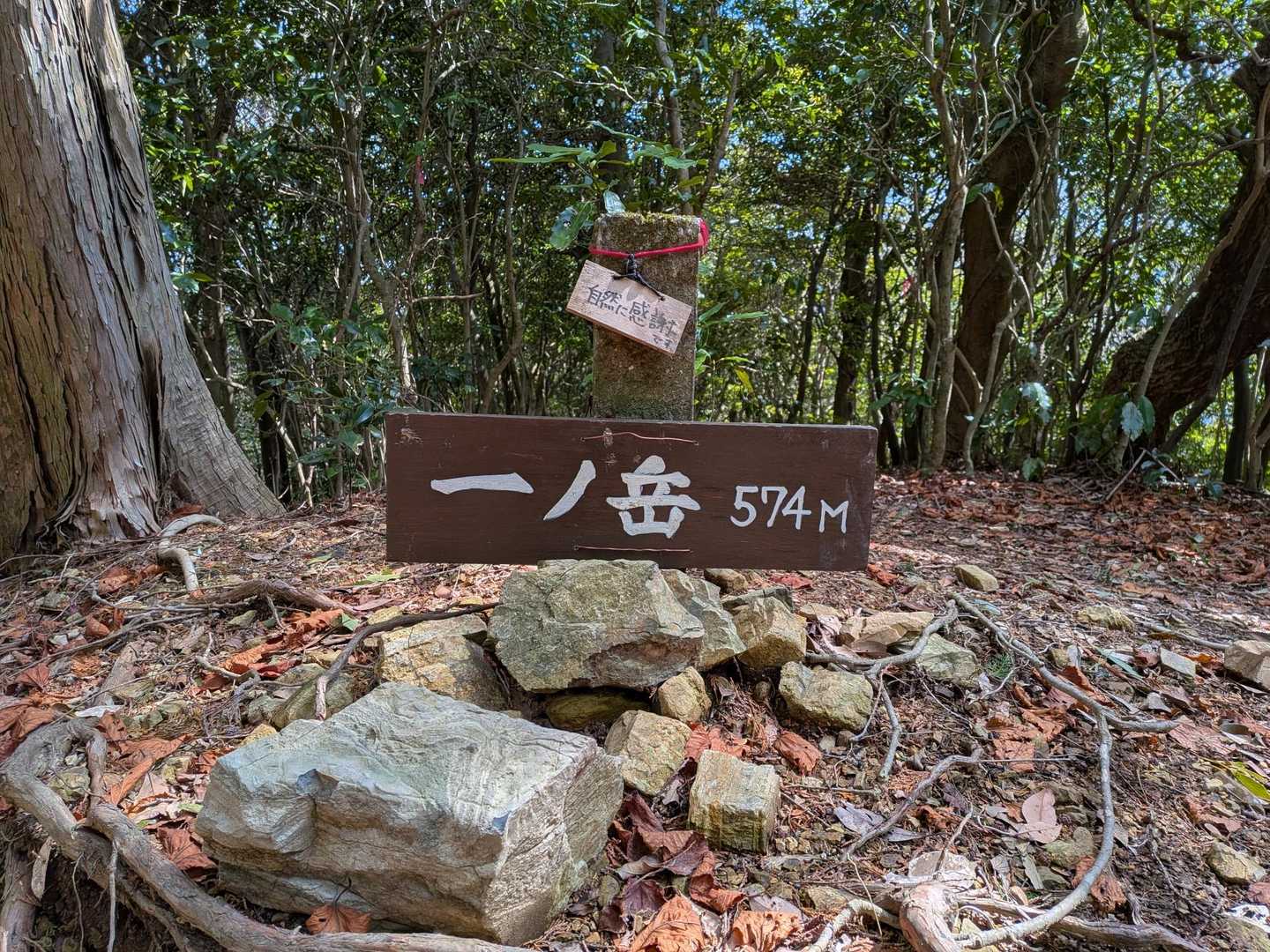 あまりアップダウンのない尾根道を歩いて三座目。
⛰️一ノ岳　574m