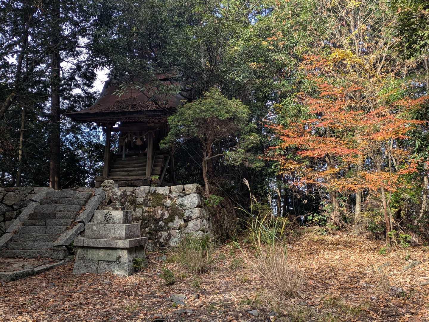 帰りは八幡神社⛩️にも参拝しました😊