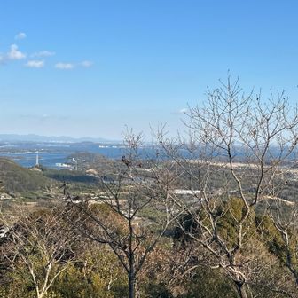 ラクダ岩からの眺望