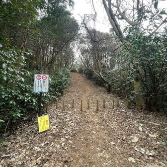 次なる展望スポット、南山へ

