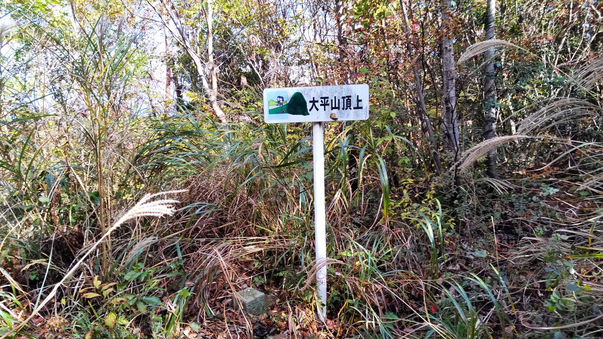 大平山山頂
三角点あるけどボーボー
次へ❗