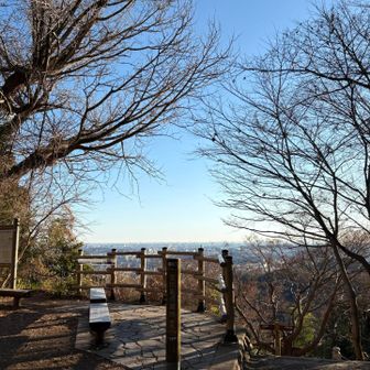 静かな金毘羅台　清々しい空気