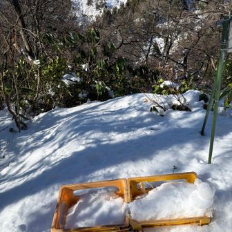 ハゲ山に向かう途中にトレースがあったので来てみたら…