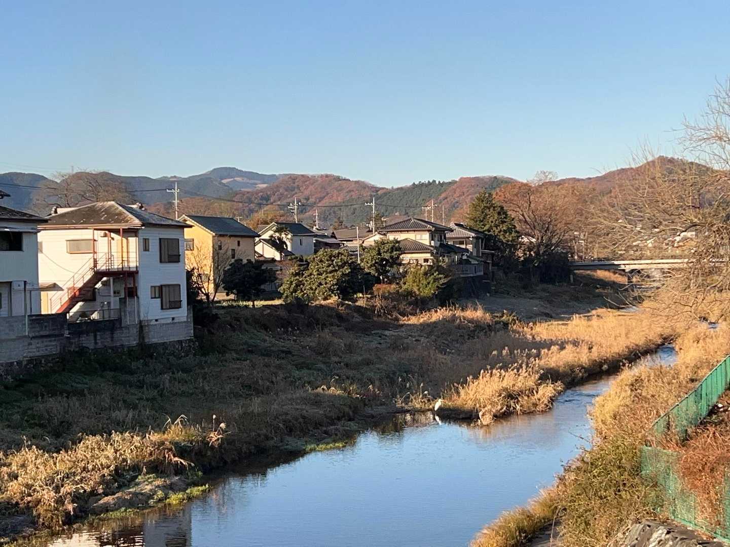 鷺がいます
双眼鏡欲しい
