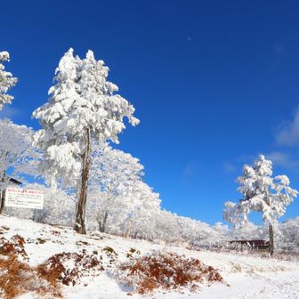 明神ブルーを惜しみつつ
帰ります