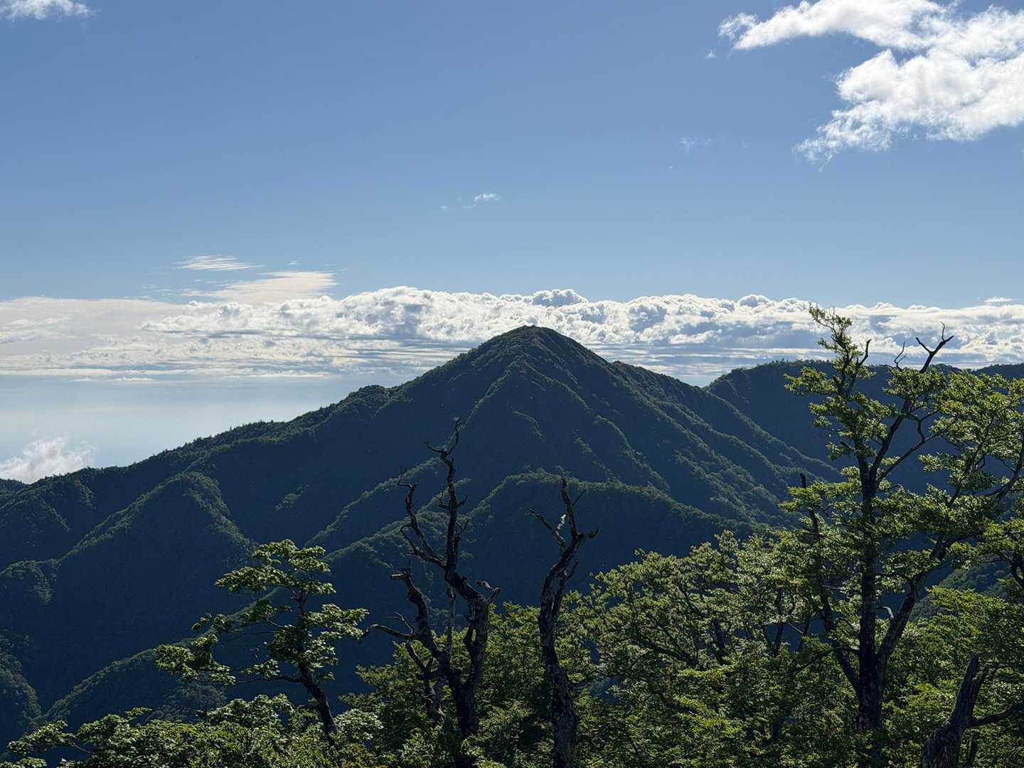 青ヶ岳山荘から蛭ヶ岳。
結構とんがってるんだね。