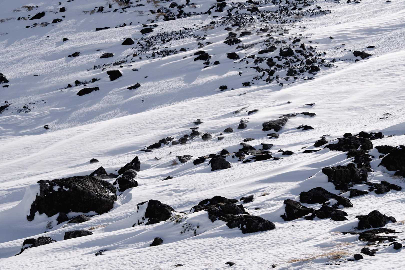 剥きだした岩たち

山頂から肩の小屋まで下山の際ピッケル出しました
雪柔らかかったから大丈夫かもしれないけど、もし滑って止まれなかったら岩で終わるんやで
（ピッケルの安心感たるややで）