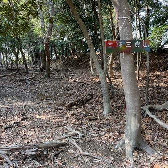 巻道と分かれて広々した三浦三良山へ。
ミウラサブロウヤマと読む。
三浦氏に因んだ山名らしい。