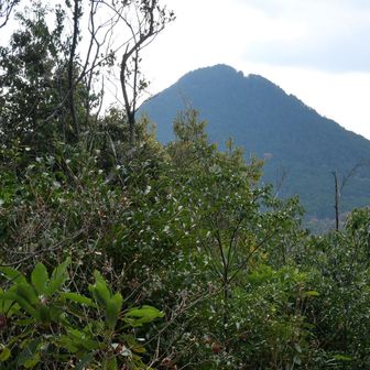 妙光寺山山頂から
ひょっこり近江富士