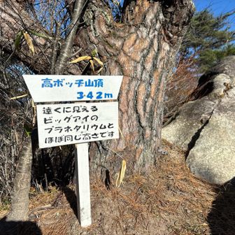 高ぼっち登頂ー！