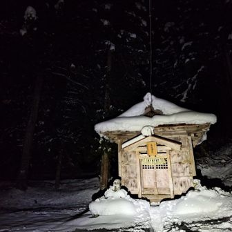 夜も登る鳥坂神社