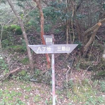 東猿山に寄り道するため、三筋山方面に進みます