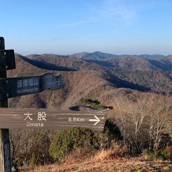 護摩壇タワーが点のように微かに見えました。