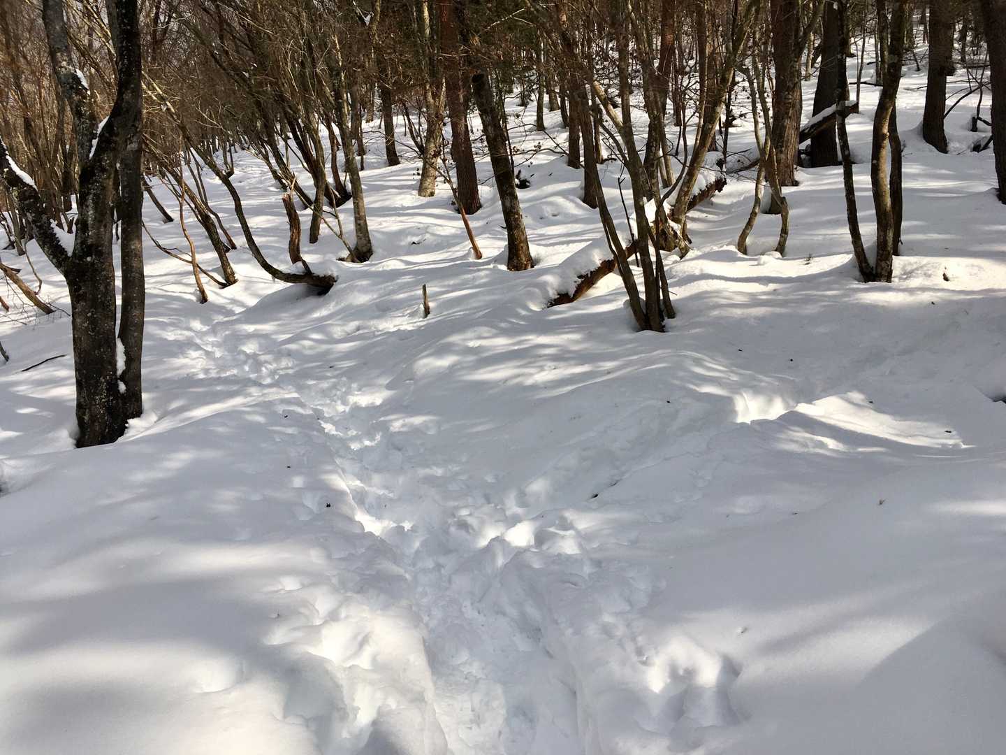 こんな感じ