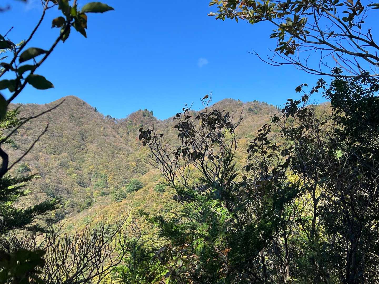 
真ん中右のピークの向こう側が山頂かな？