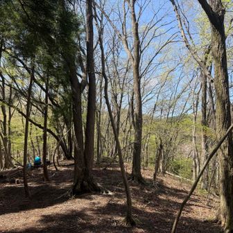 割とフラットな山頂。桜植えたら有名になりそう。