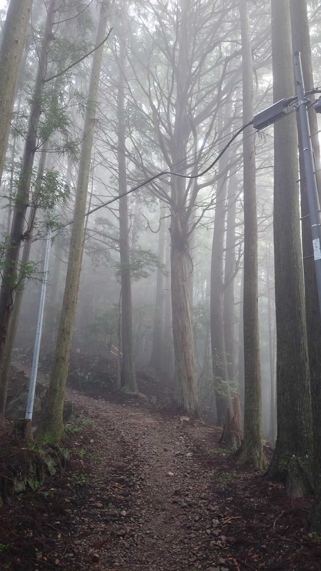 場所によってはいい雰囲気