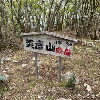 寄り道と急登で少しヘロヘロなので、南岳で休憩🤣