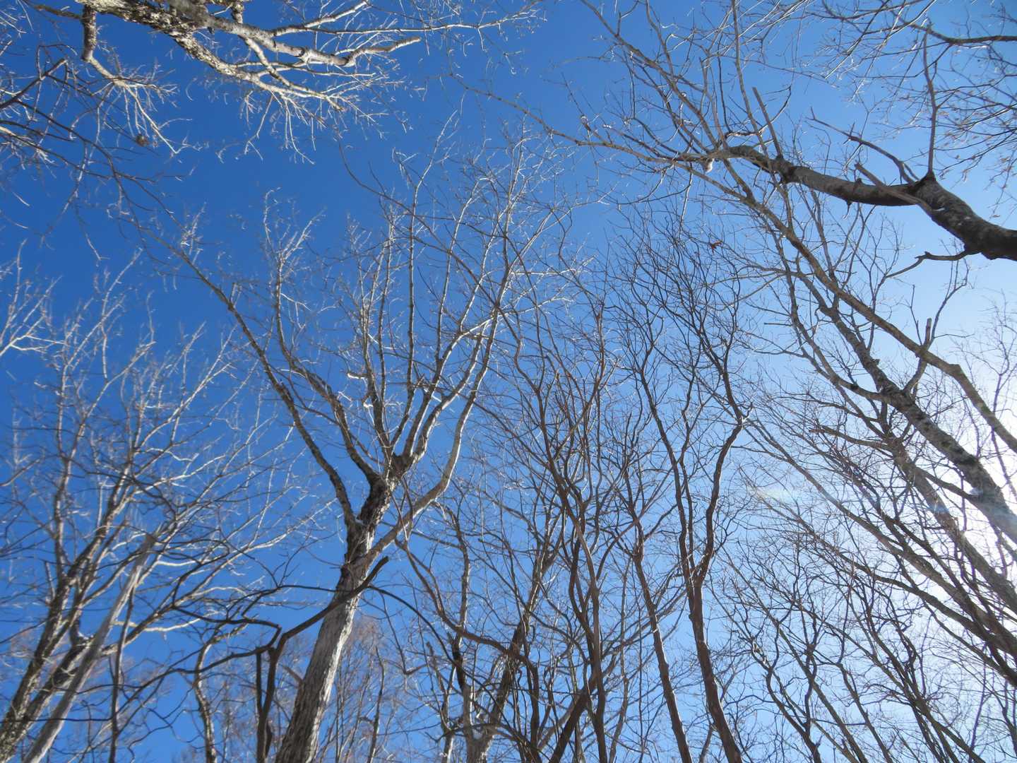 この辺りでは少し風が出てきましたが、青空の下日差しが暖かく、心地良いです（＾Д＾）