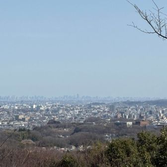 反対側の奥には都心のビルの山々