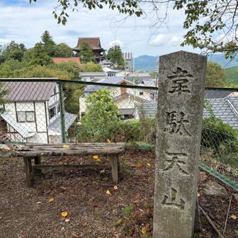 参道に美味しそうなお店がいっぱい。
食べたいなぁと思いながら韋駄天山へ。
ここからは金峯山寺が見えます。
お腹空きました〜。