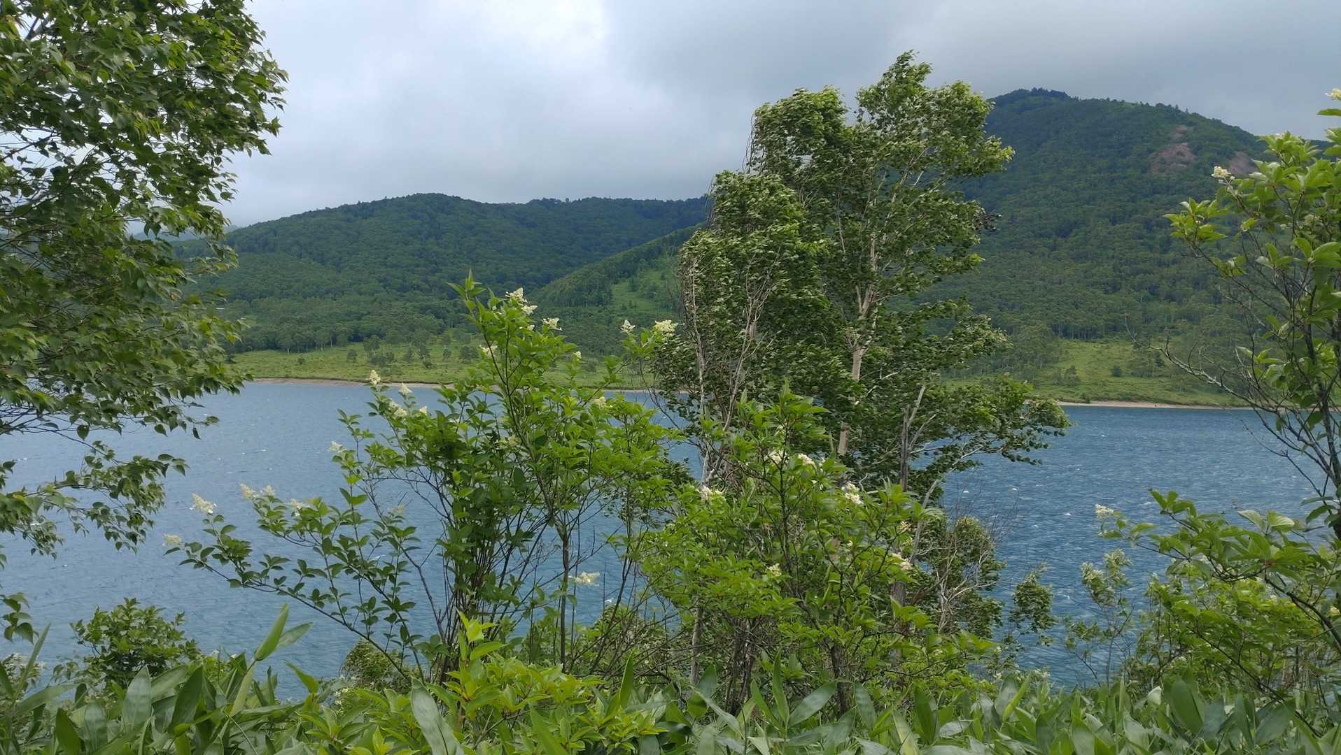 写真だと分かりにくいですが、湖面に白波が立って木々が荒れ狂ったように動いています
