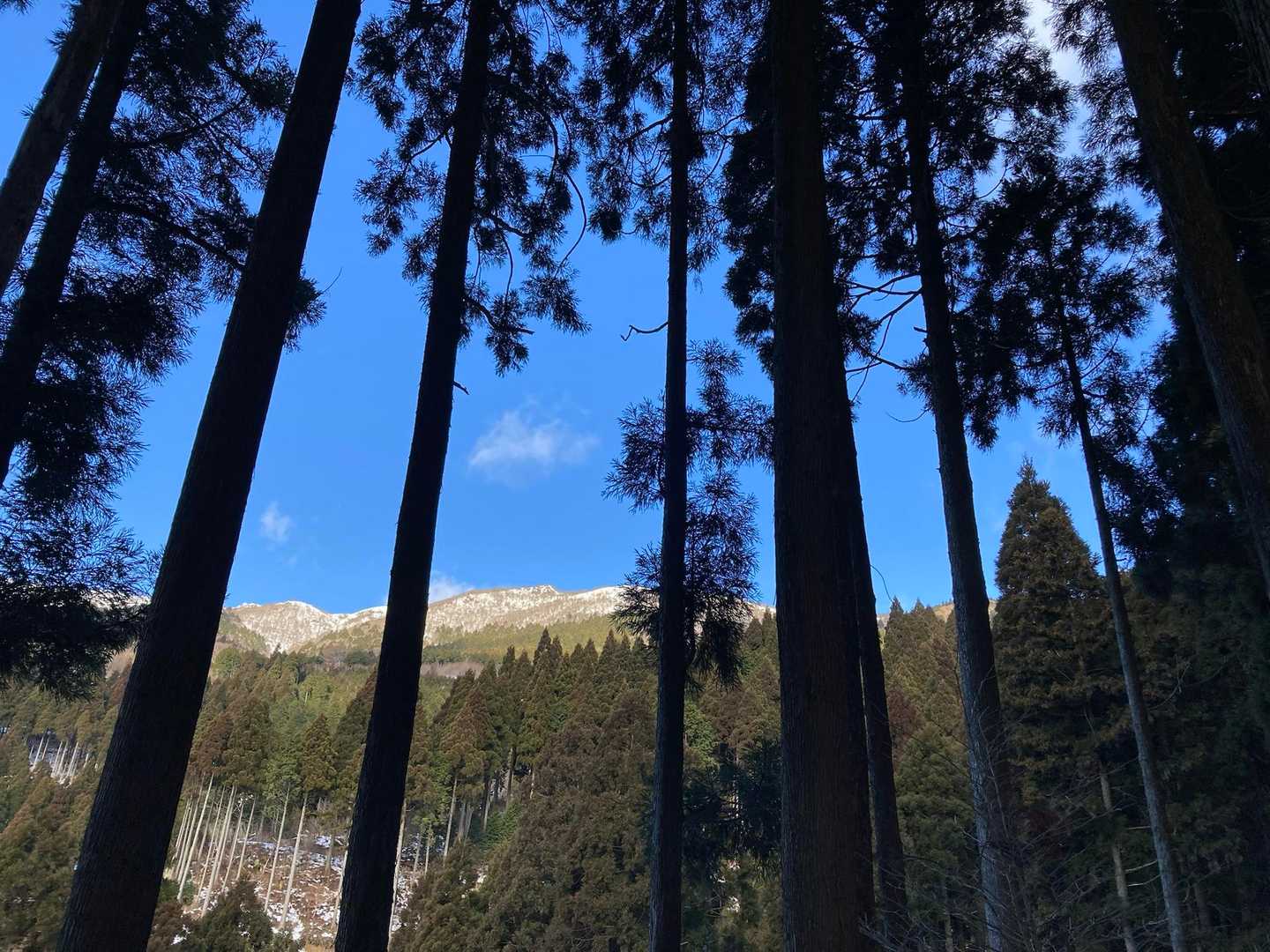 天気が良く☀️、暑いくらい