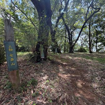 三輪七面山に到着✌️