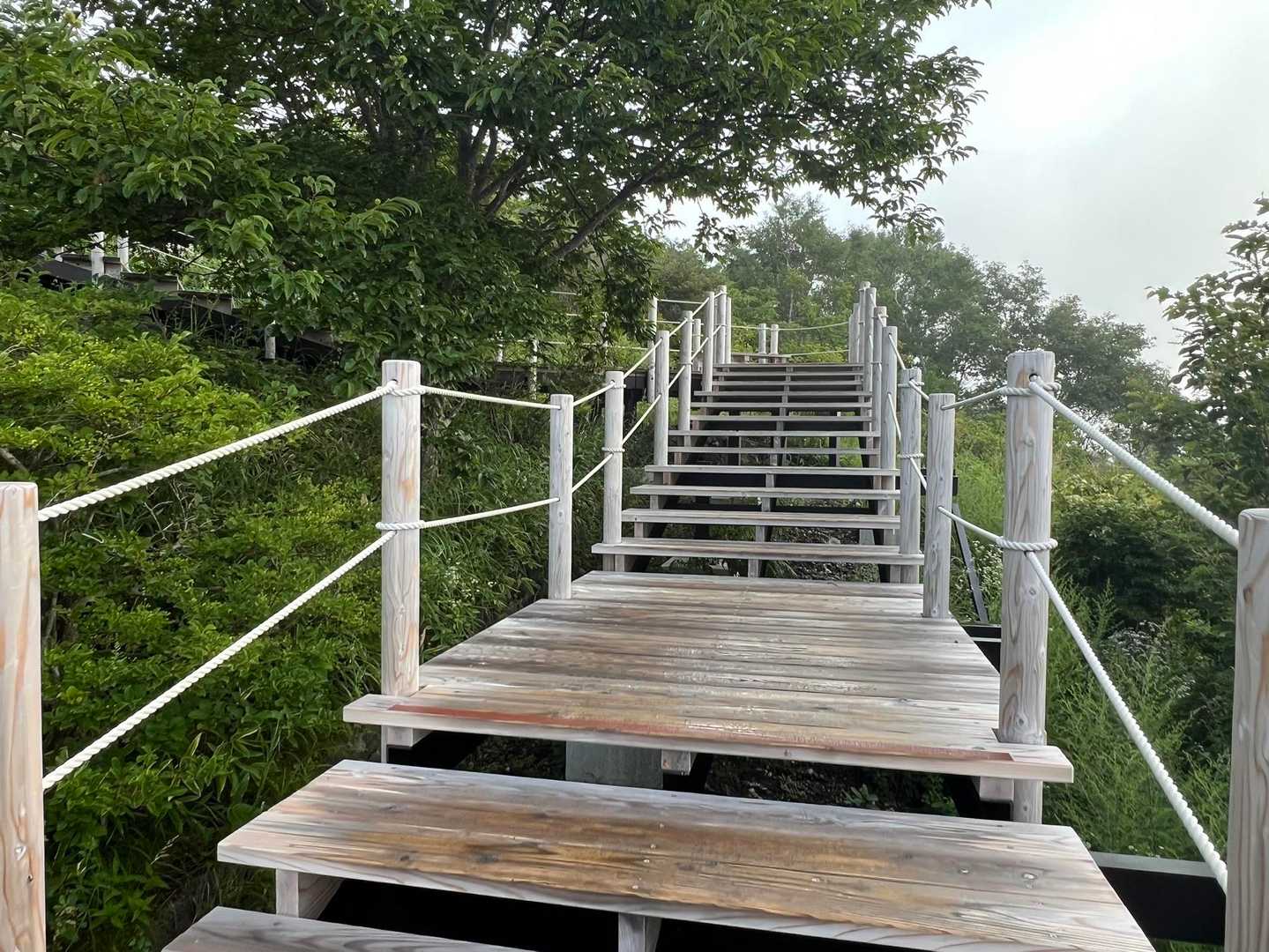 新しい木道階段
地味に疲れる
