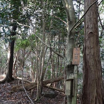 この先数メートルでが山頂。
ここまで来て入山禁止と言われても😡